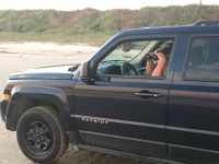 Birding Galveston By Car