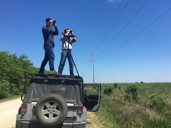 Great Texas Birding Classic Big Day – Birders on Top of Vehicle Great Texas Birding Classic Big Day - Birders on Top of Vehicle
