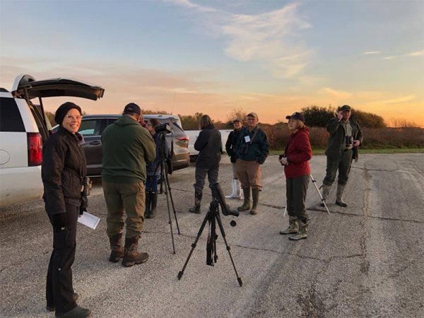 Group of Birders