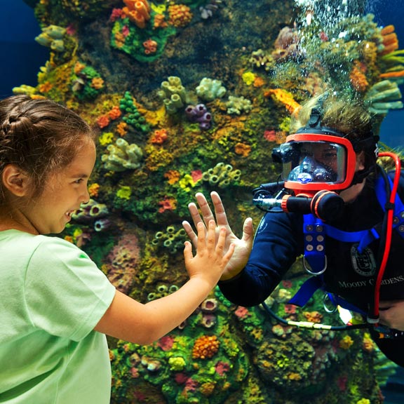 Moody Gardens Diver and Child Child at Moody Gardens Aquarium, Galveston TX