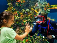 Moody Gardens Aquarium - Diver and Child