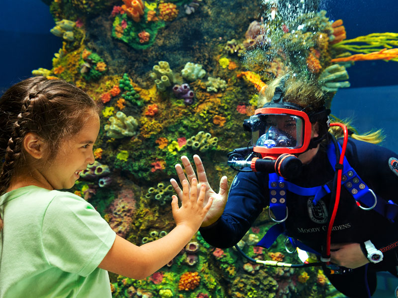 Moody Gardens Aquarium - Diver and Child