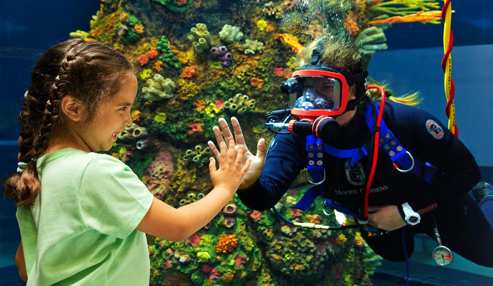 Moody Gardens Diver and Child Child at Moody Gardens Aquarium, Galveston TX