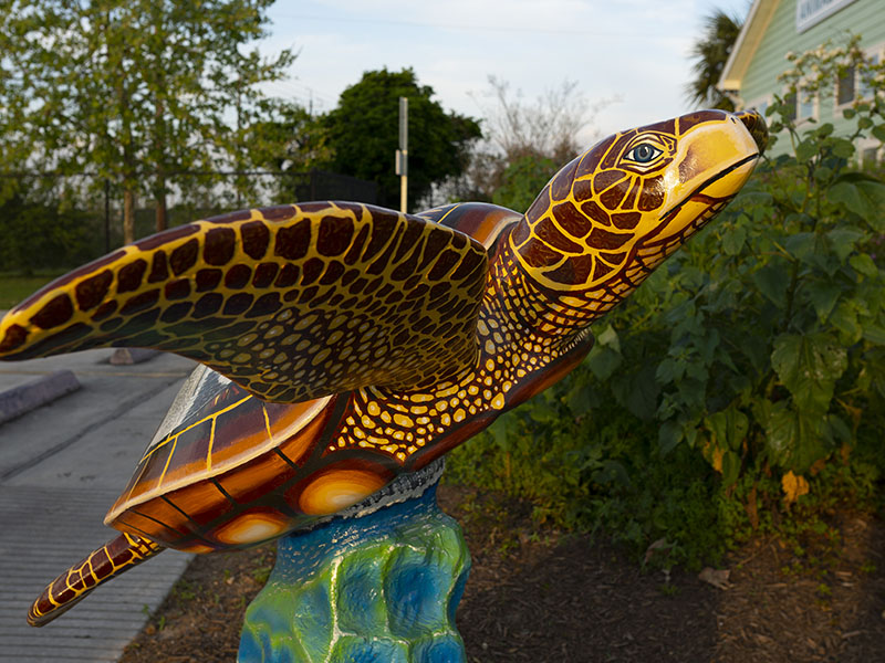 Cam - Turtles About Town Sculpture at Campeche Cove