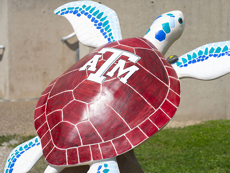 Spirit of Sea Aggieland - Turtles About Town Sculpture at Texas AM