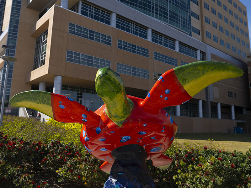 Turtles About Town Sculpture at UTMB