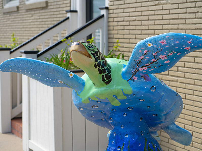 Turtles About Town - Therapeutic HealthWorks Day Spa - Tiger Lily