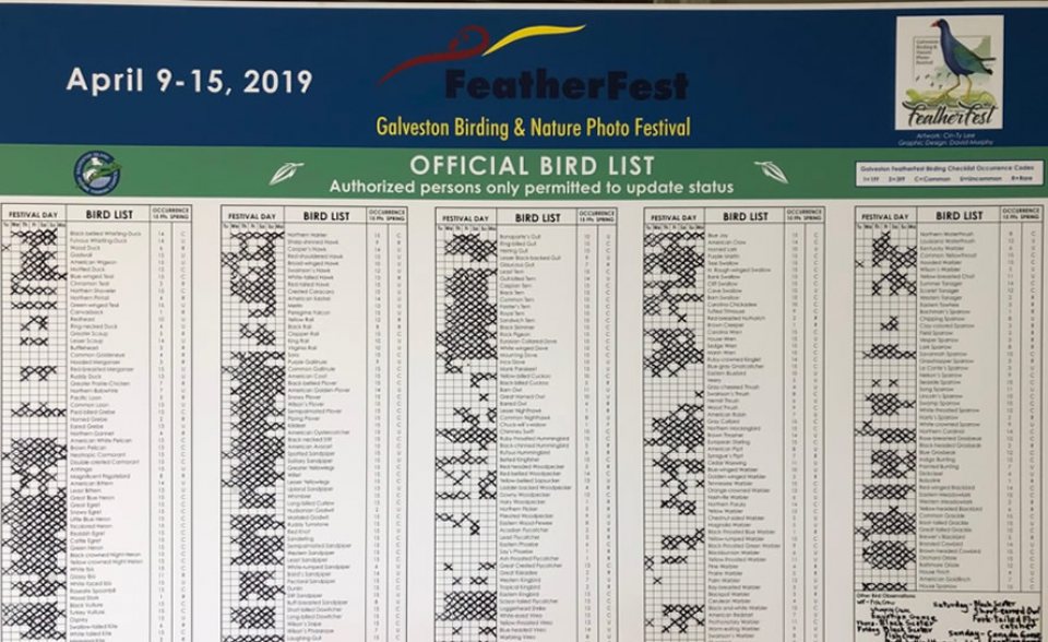 Featherfest birding list Featherfest Big Board - a tremendous shopping list for our big day