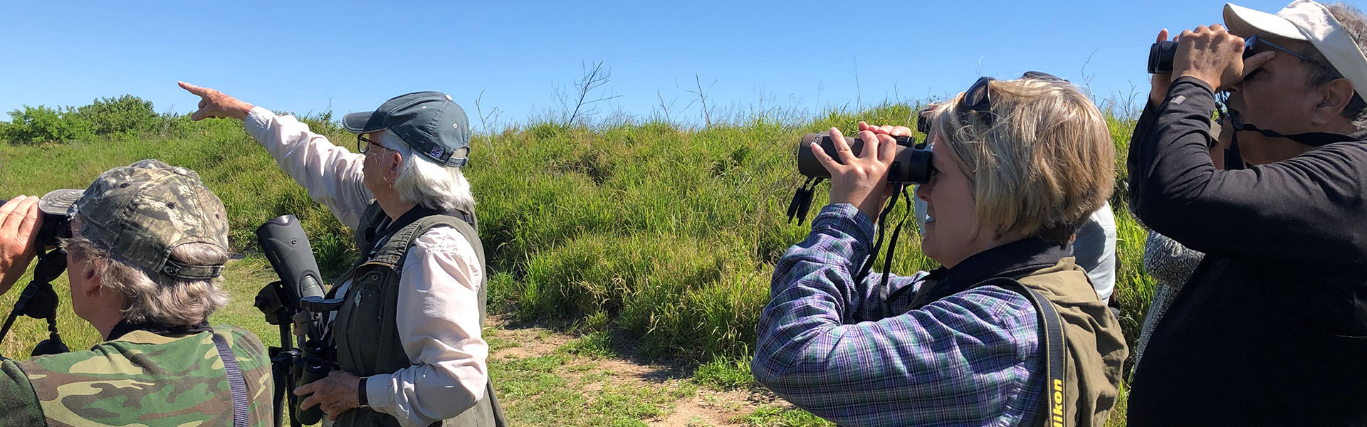 Birders at Texas A&M Wetlands