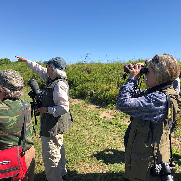 Birders at Texas A&M Wetlands