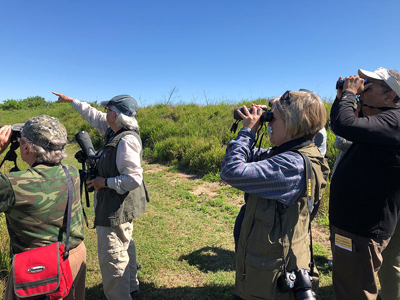 Birders at Texas A&M Wetlands