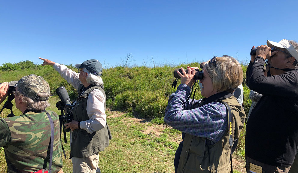 Birders at Texas A&M Wetlands