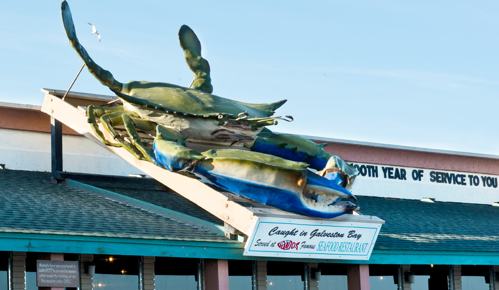 Giant Crab on Gaido