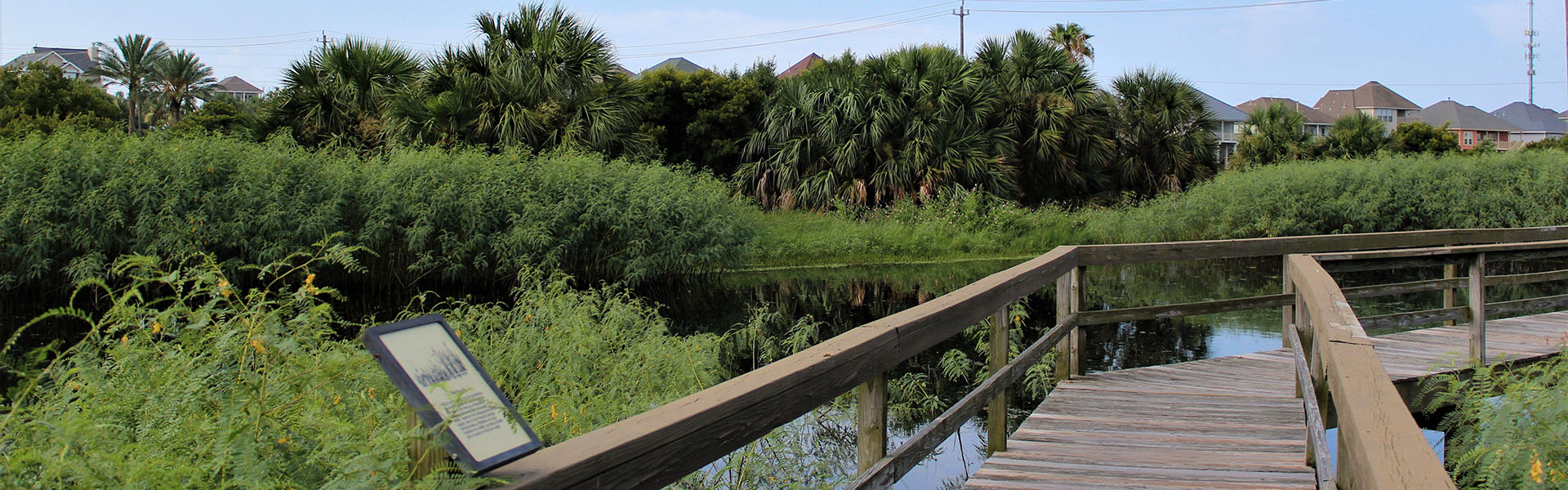 Path at Lafitte's Cove Nature Preserve