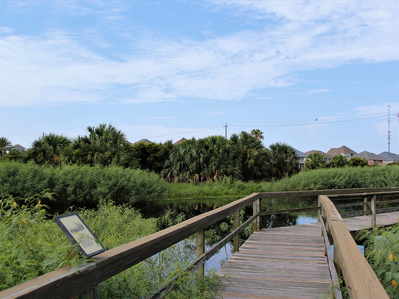 Path at Lafitte's Cove Nature Preserve