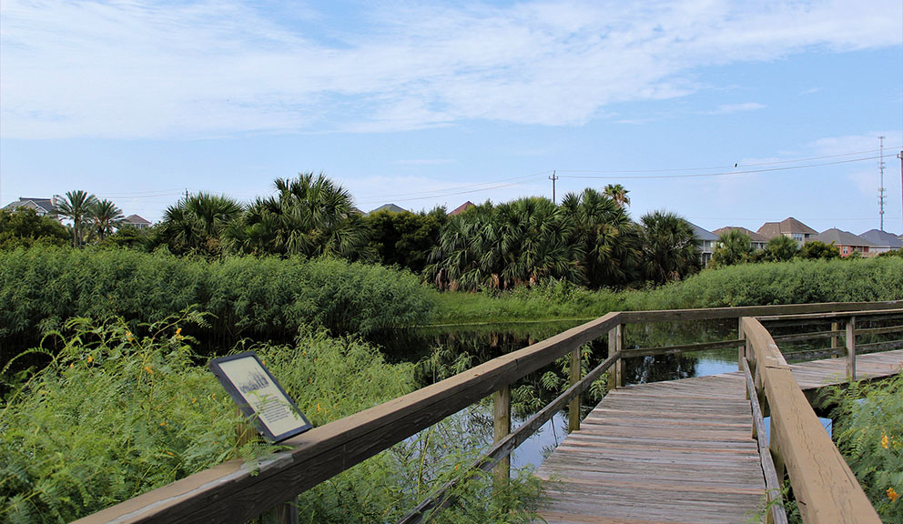 Path at Lafitte's Cove Nature Preserve