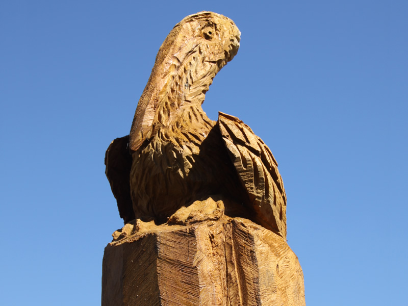 Pelican Sitting on a Piling