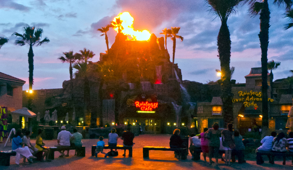 Rainforest Cafe, Galveston TX