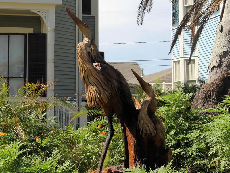 Two Crested Herons