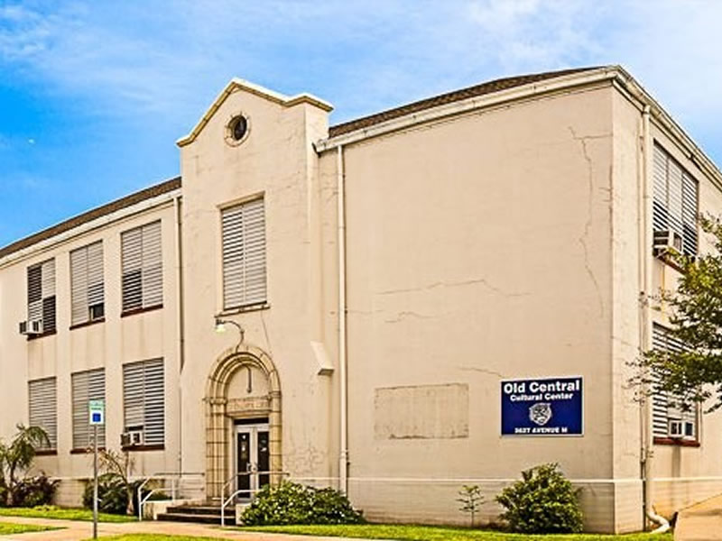 Rosenberg Library Colored Branch