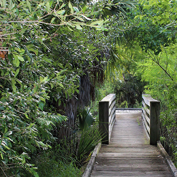 Army Corp Woods Bridge