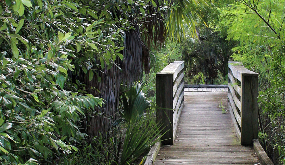 Army Corp Woods Bridge Army Corp Woods Bridge