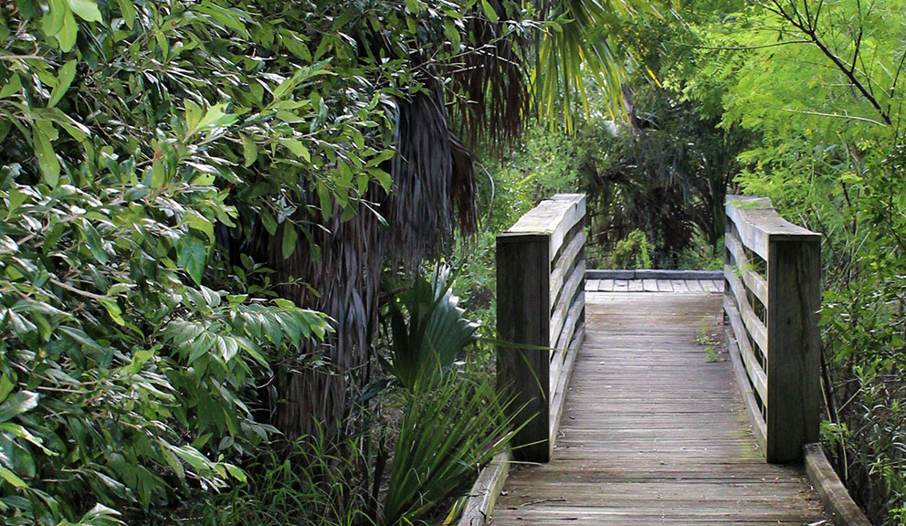 Army Corp Woods Bridge