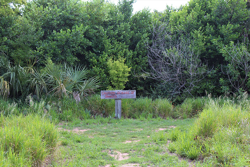 Army Corp Woods Trail Sign