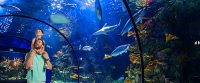 Dad and Son Looking at Sharks at Moody Gardens