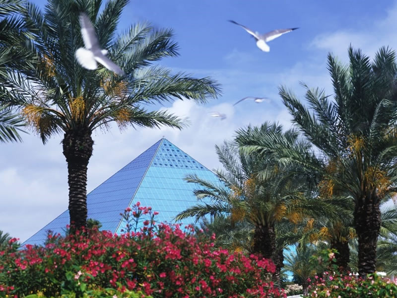 Moody Gardens Pyramids