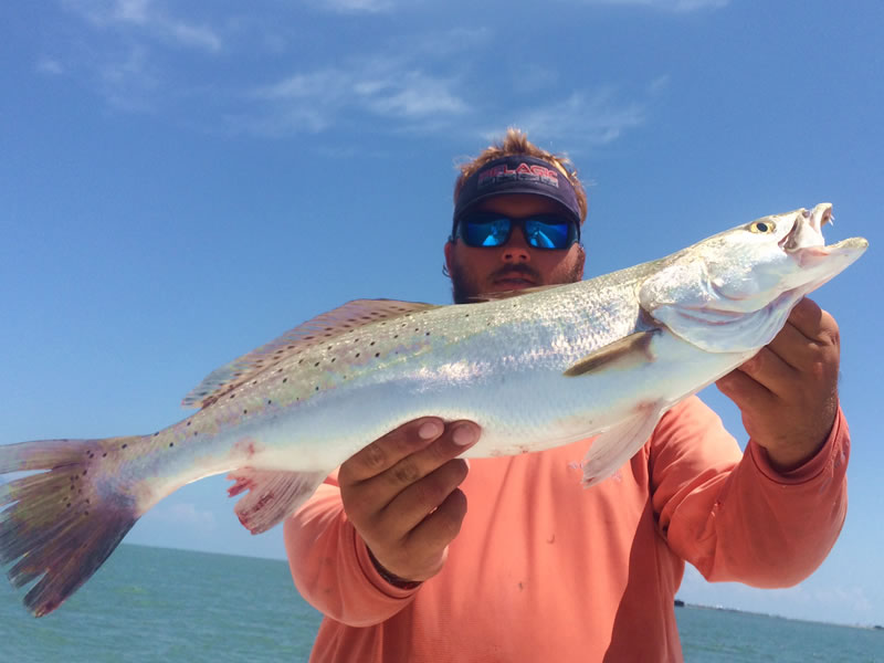 What's the Best Kind of Bait for Fishing in Galveston Bay?