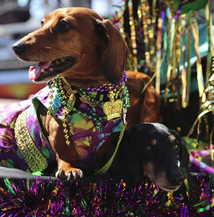 Recycle Mardi Gras Beads