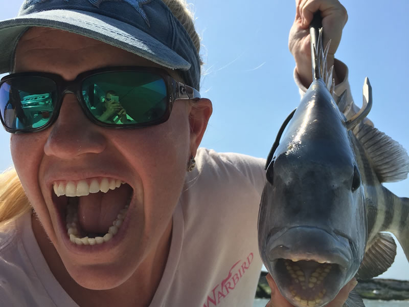 Sheepshead Teeth