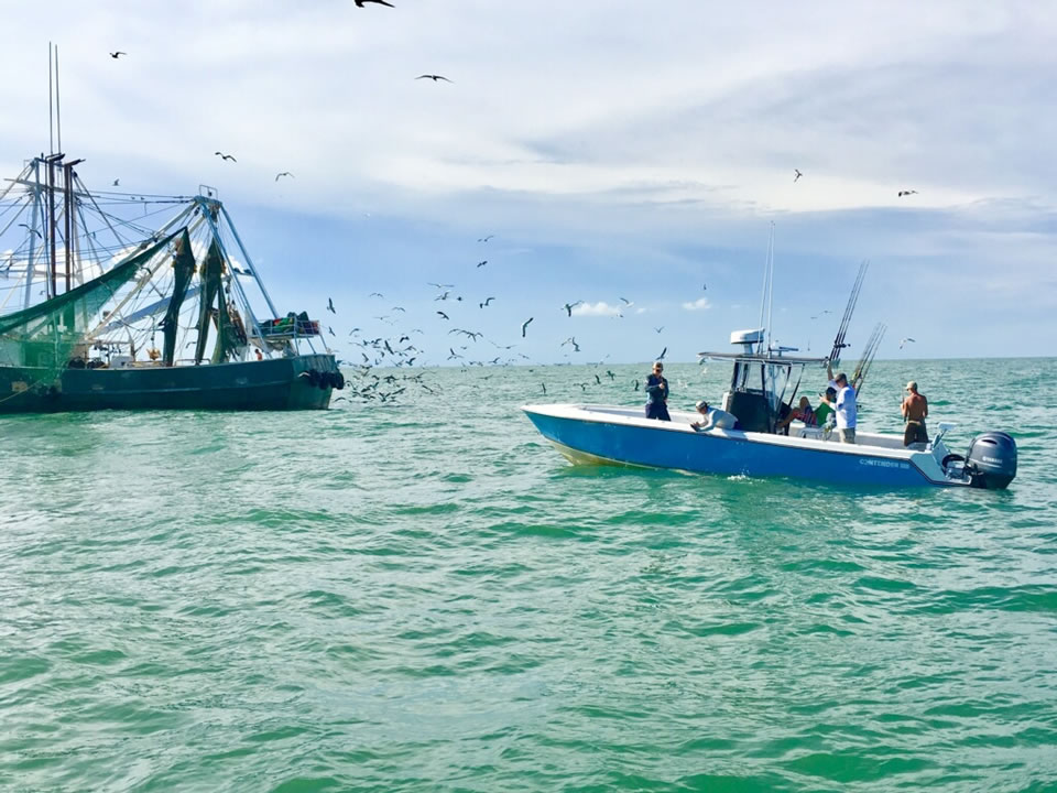 Shrimp Boat and Fishing Boat