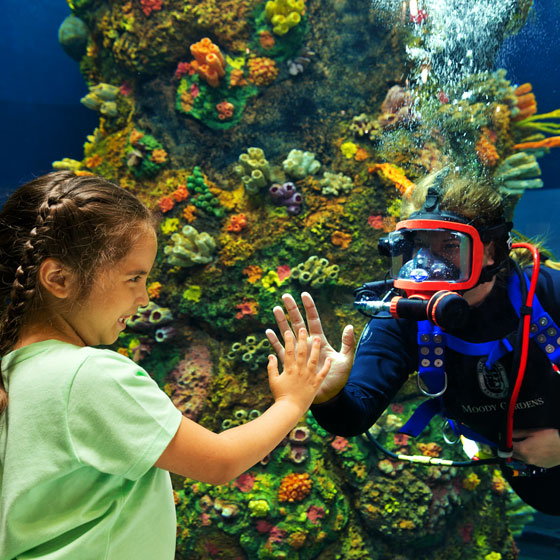 Child at Moody Gardens Aquarium