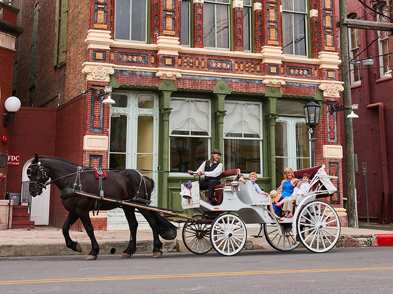 Horse Drawn Carriage in Galveston