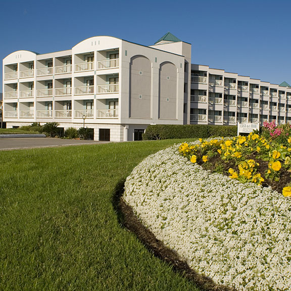 Casa del Mar with Flowers