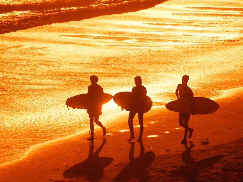 Surfers on the Beach at Sunset