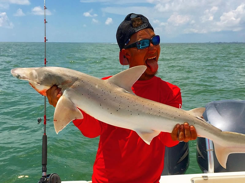 FISH ID? Galveston TX : r/saltwaterfishing