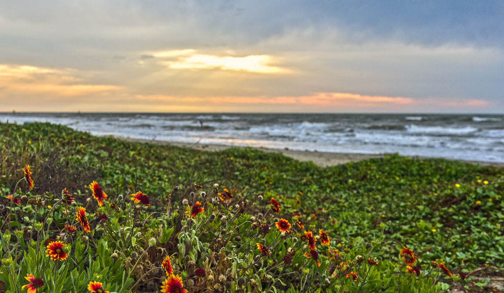 View of the Gulf from Beach Pocket Park 1, Galveston
