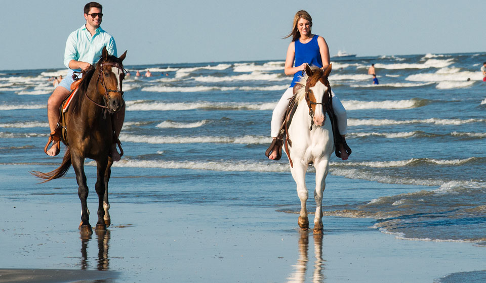 Horseback Riding on the Beach