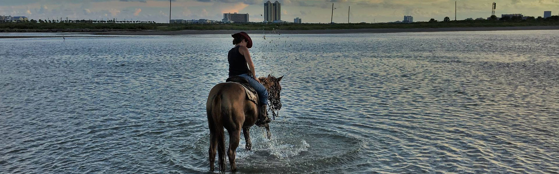 Galveston Island Horse & Pony Rides, Galveston TX