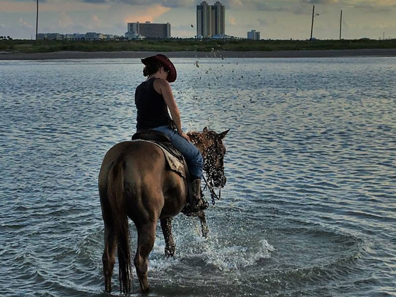 kayak tours galveston