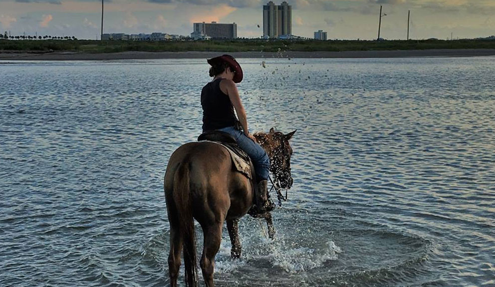 Galveston Island Horse & Pony Rides, Galveston TX