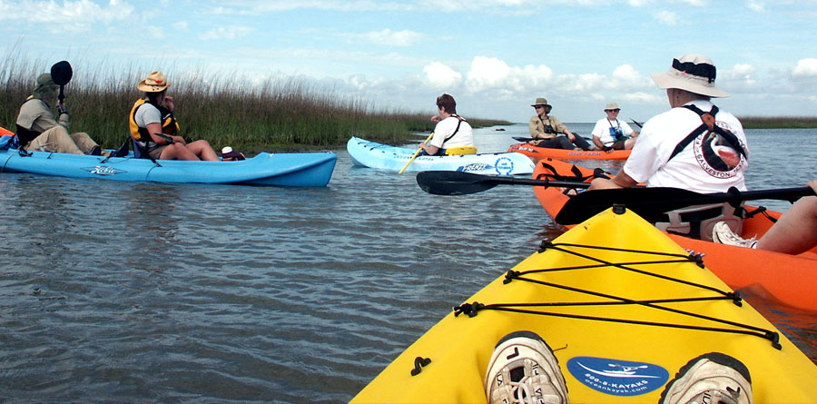 Artist Boat Kayak Adventures, Galveston, TX