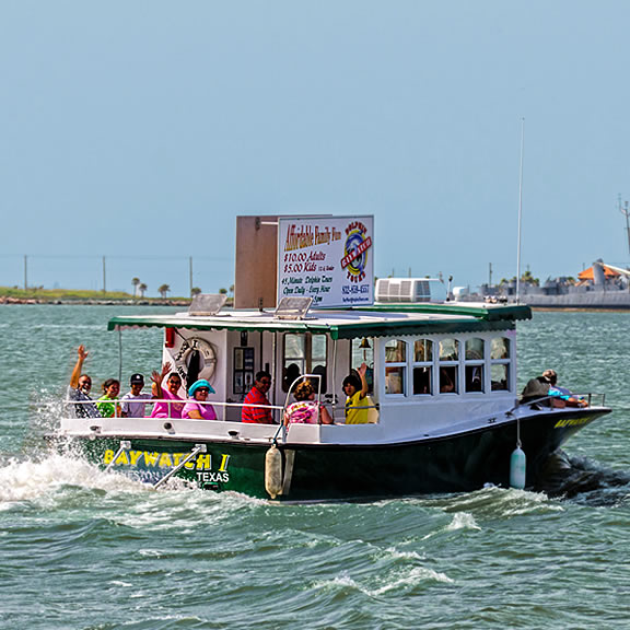 pier 21 dolphin tours galveston