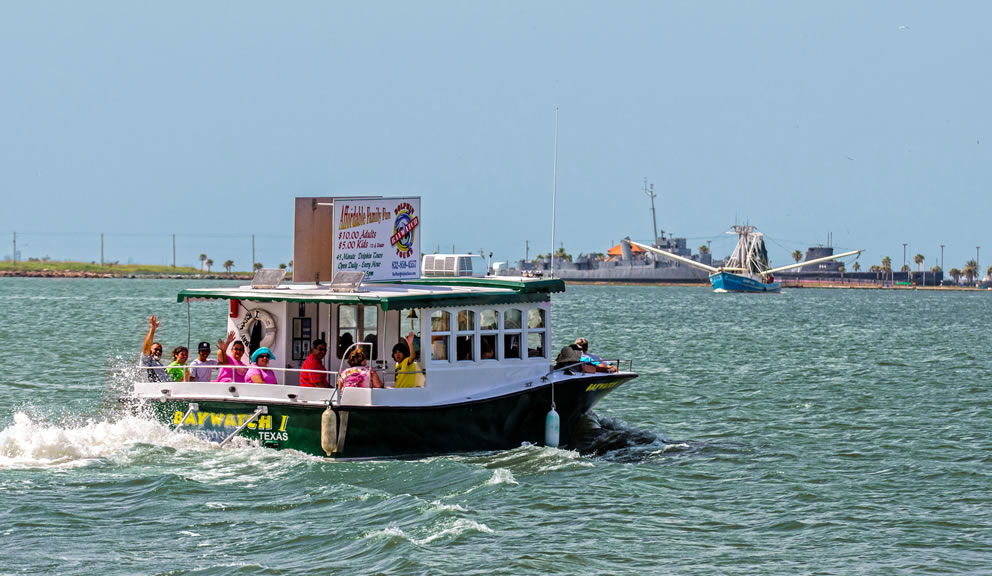 Baywatch Dolphin Tours Galveston