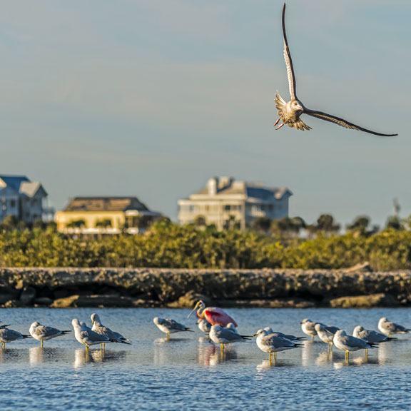 Gary Greene Vacation Rentals, Galveston TX