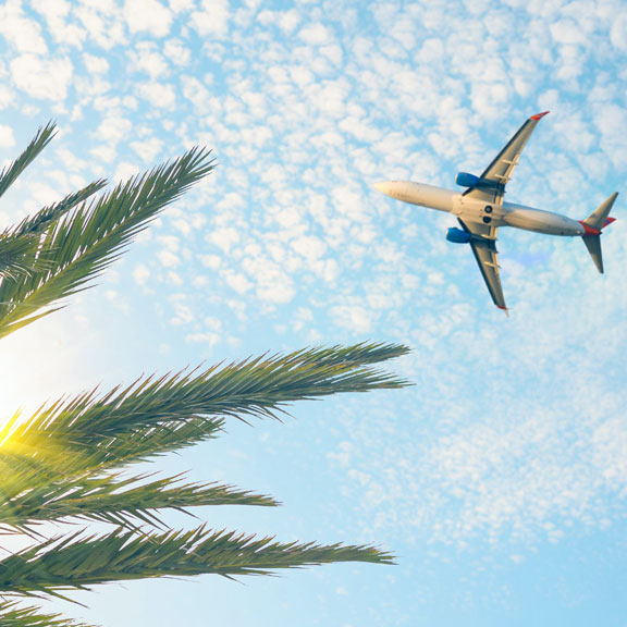 Commercial Plane Flying Over a Palm Tree