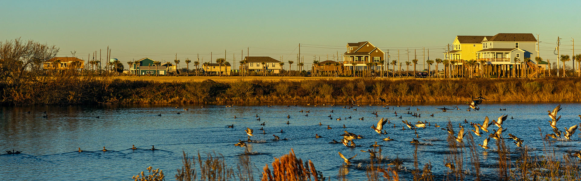 7 1/2 Mile Road Pond